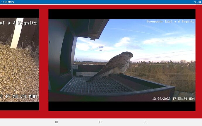 Screenshot_20230313-175837_Chrome