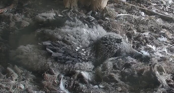 Schlafen und Wachsen 20.04.24