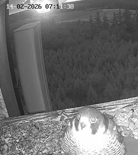 Screenshot_20260214_071112_Chrome