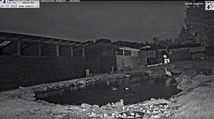 Snap_2023.10.26_18h32m49s_013_