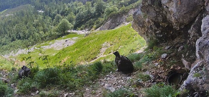 Gemeinsam die Umgebung geniessen 10.06.25