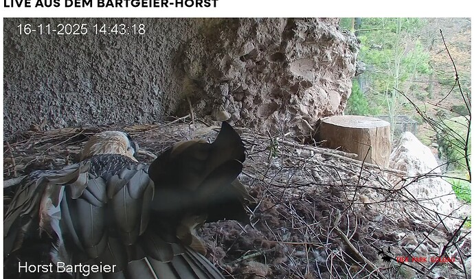 Screenshot_20251116-144428~2