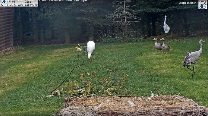 Snap_2023.10.22_09h08m16s_003_