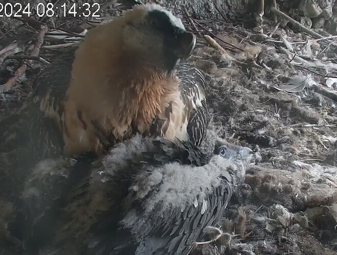 Träumen mit Mama 23.04.24