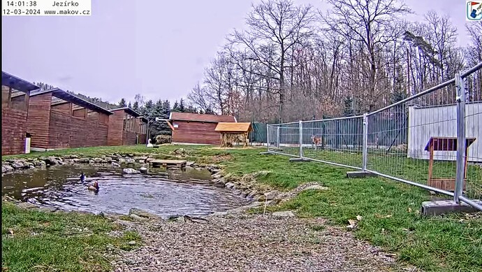 Screenshot_2024-03-12-14-02-02-712_com.google.android.youtube