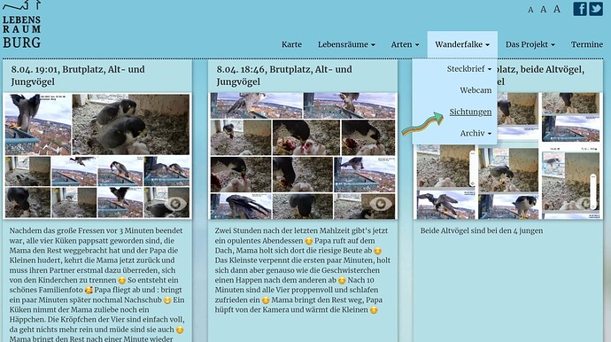 Screenshot_20230409-092254_Samsung Internet
