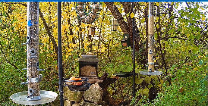 Neu befüllt 29.10.25