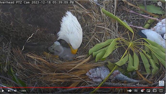 Screenshot 2023-12-18 234331