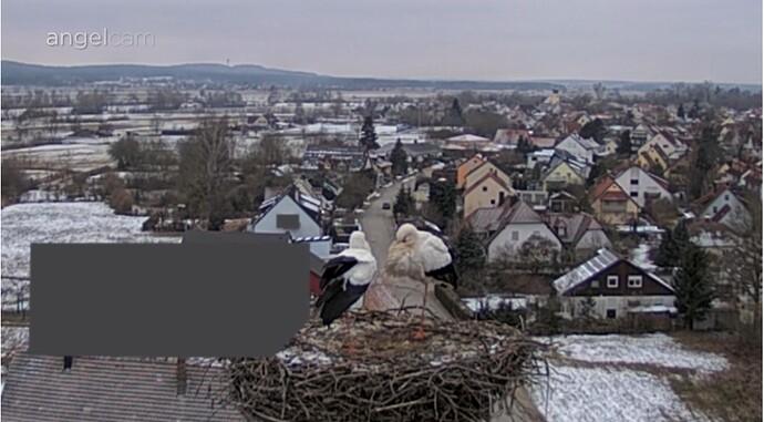 Screenshot_20250215_172916_Chrome