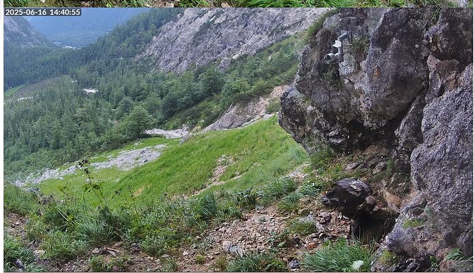 Screenshot 2025-06-16 144120