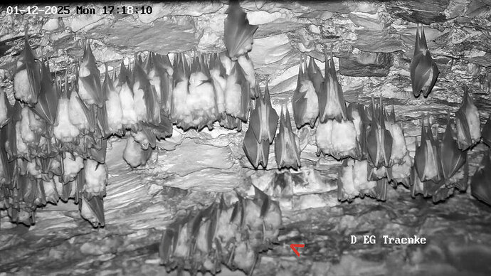 Vollbildaufzeichnung 01.12.2025 171814
