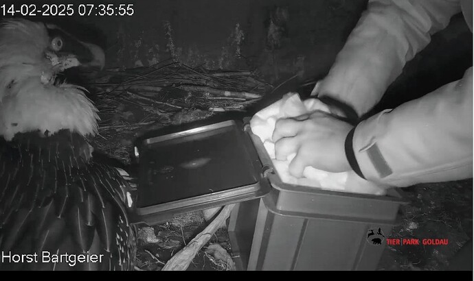 Screenshot_2025-02-14-07-36-58-276_com.android.chrome