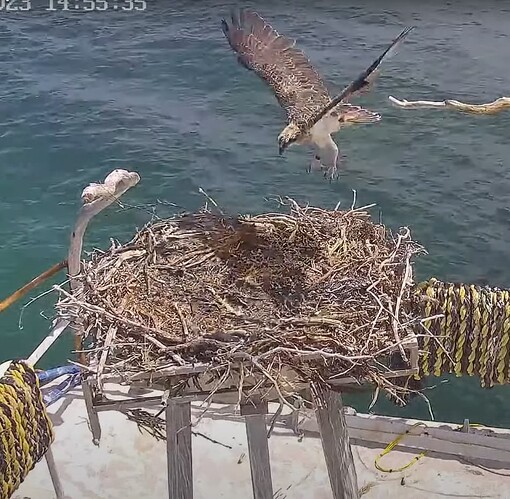 Screenshot 2023-12-17 172411