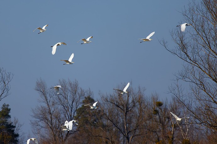 IMG_3364_DxO_DxO