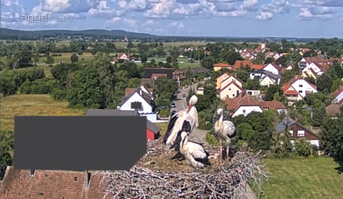 Screenshot_20240612_093423_Chrome