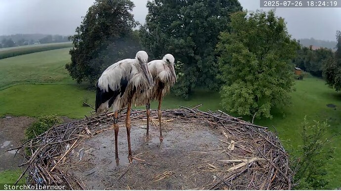 Screenshot_20250726_182447_YouTube