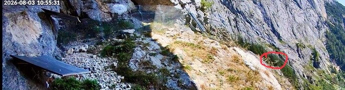 IMG_7125