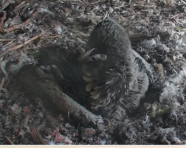 Bettfertig machen 29.04.24