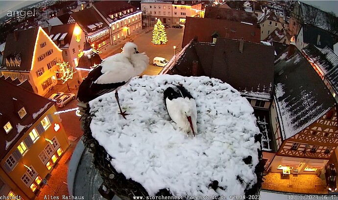 Screenshot_20231130-164754~2