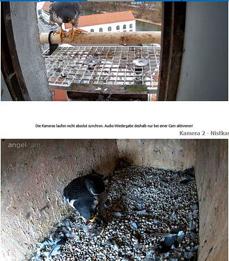 Snap_2026.02.23_15h49m12s_017_