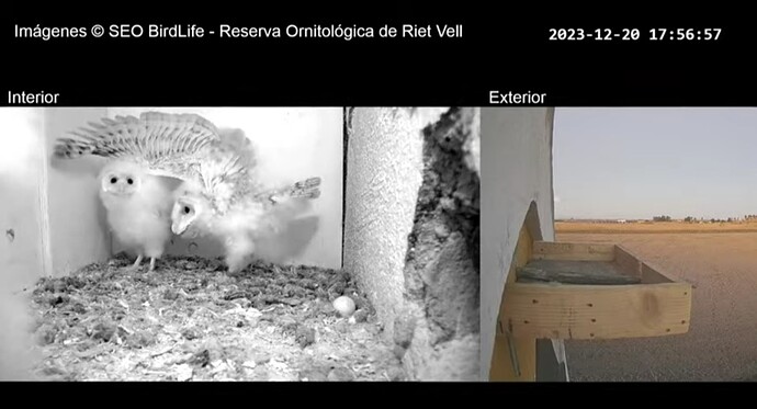 Screenshot_20231220_230313_YouTube