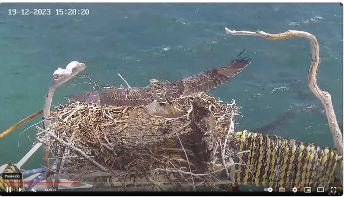 Screenshot 2023-12-19 151935