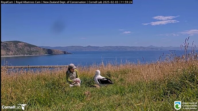 IMG_20250203_045426