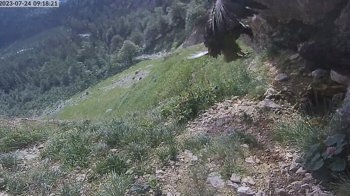 2023-07-24 09_18_43-Greenshot