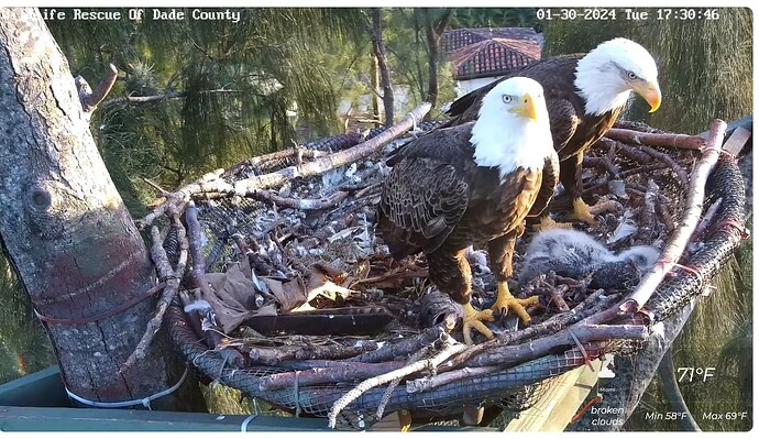 Screenshot 2024-01-31 003045