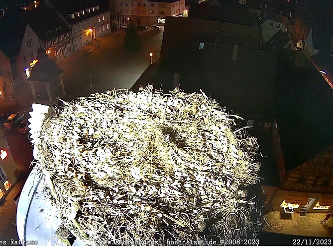 Screenshot_20231122-173312~2