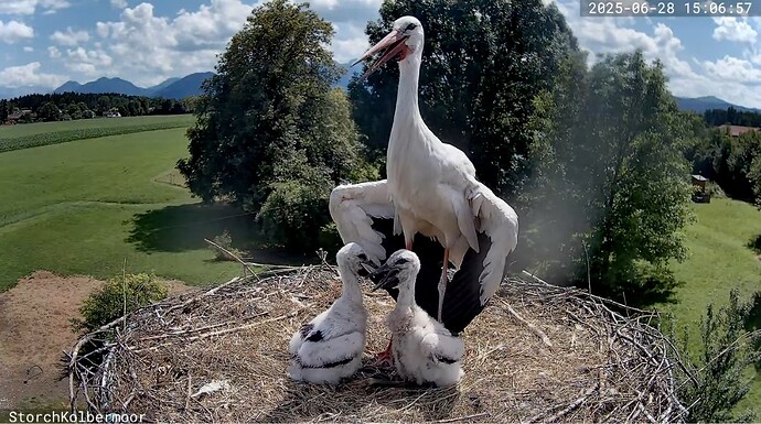 Screenshot_20250628_150726_YouTube