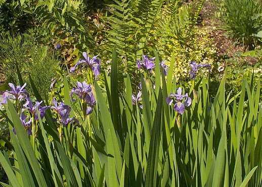 Snap_2026.06.04_09h35m41s_002_