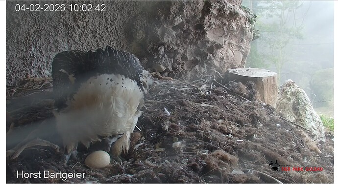 Screenshot_20260204-100346~2