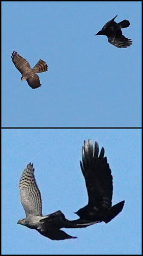 20260313_130550-COLLAGE