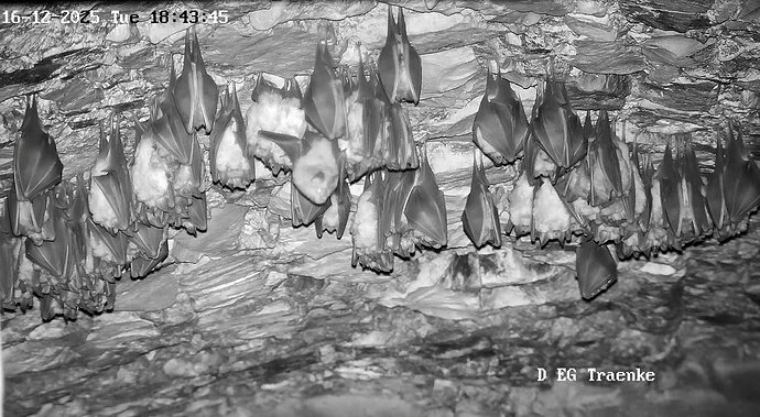 Vollbildaufzeichnung 16.12.2025 184348