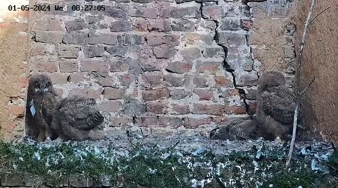Screenshot_20240501_082739_YouTube