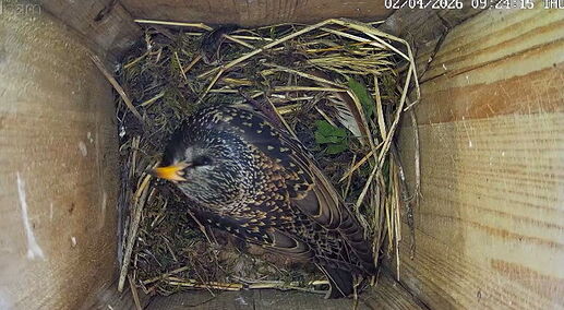 Snap_2026.04.02_09h53m24s_006_