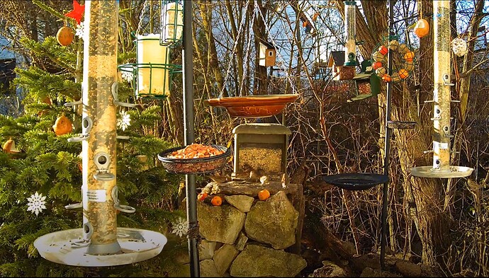 Snap_2022.12.27_10h37m23s_003_