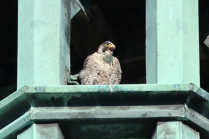 Wanda in der Kuppel 3