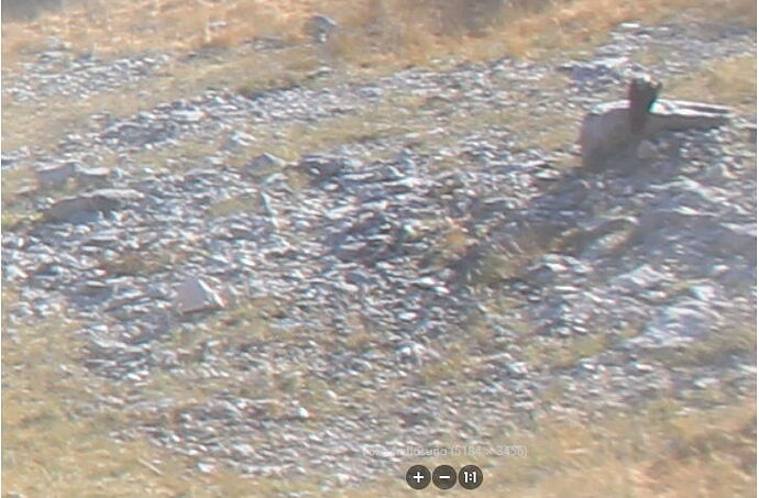 Snap_2022.11.03_09h22m25s_001_