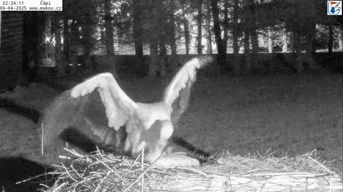 Screenshot_2025-04-06-22-24-28-111_com.google.android.youtube