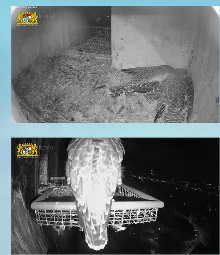 Screenshot_20230514_015822_Chrome