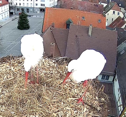 Screenshot_2023-11-23-07-48-46-206_com.android.chrome