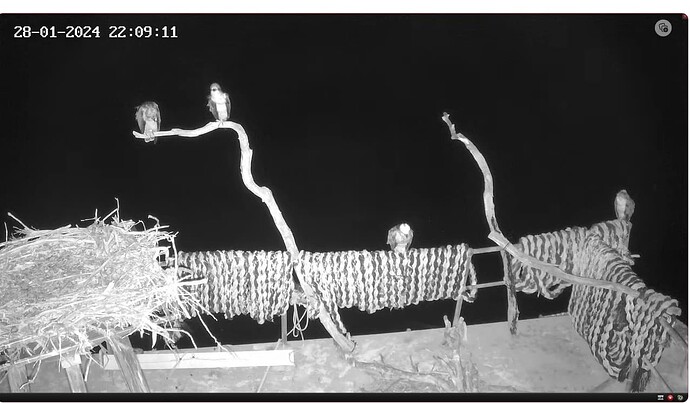 Screenshot 2024-01-28 124007