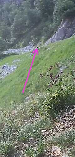 IMG-20230707-WA0000