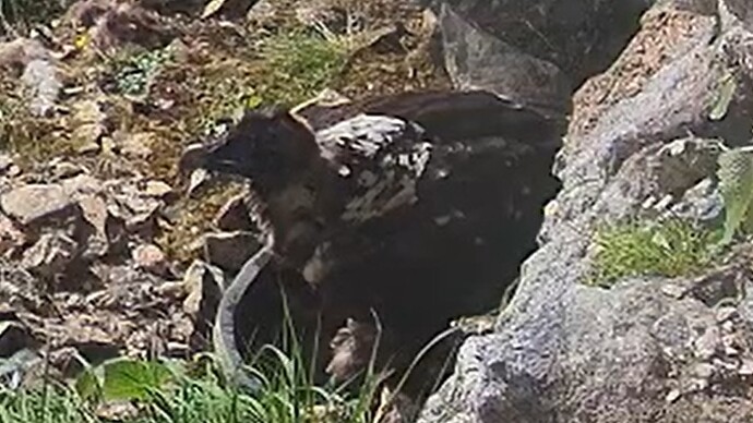 L. Fussbad 1 15.06.25