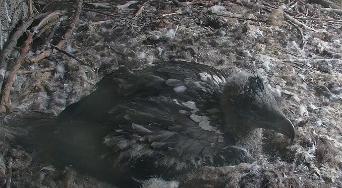 neuer Schlafplatz 05.05.24