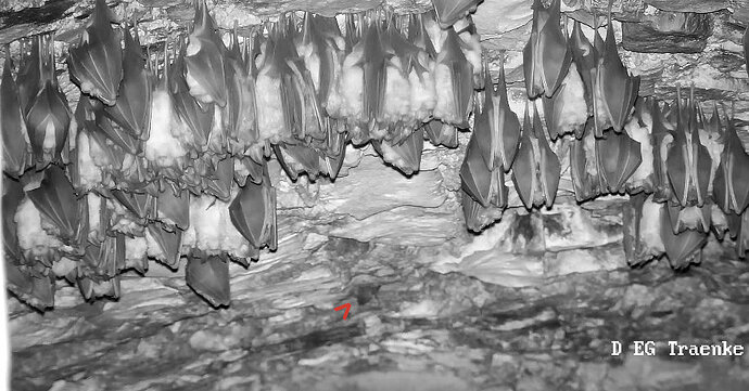 2025-12-06 Wimpi kriecht zum Versteck 5