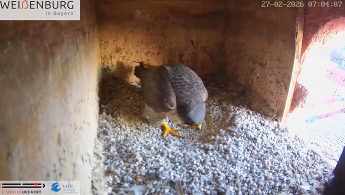 Screenshot_2026-02-27-07-58-38-225_com.google.android.youtube~2