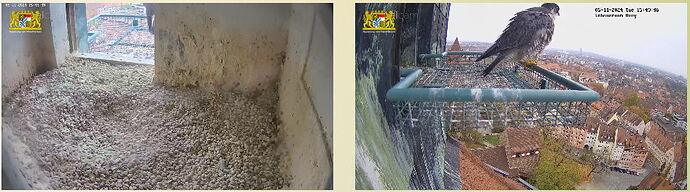 Snap_2024.11.05_14h50m15s_003_